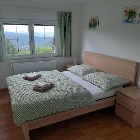 Naproti Klinovci Villa Jáchymov Dış mekan fotoğraf