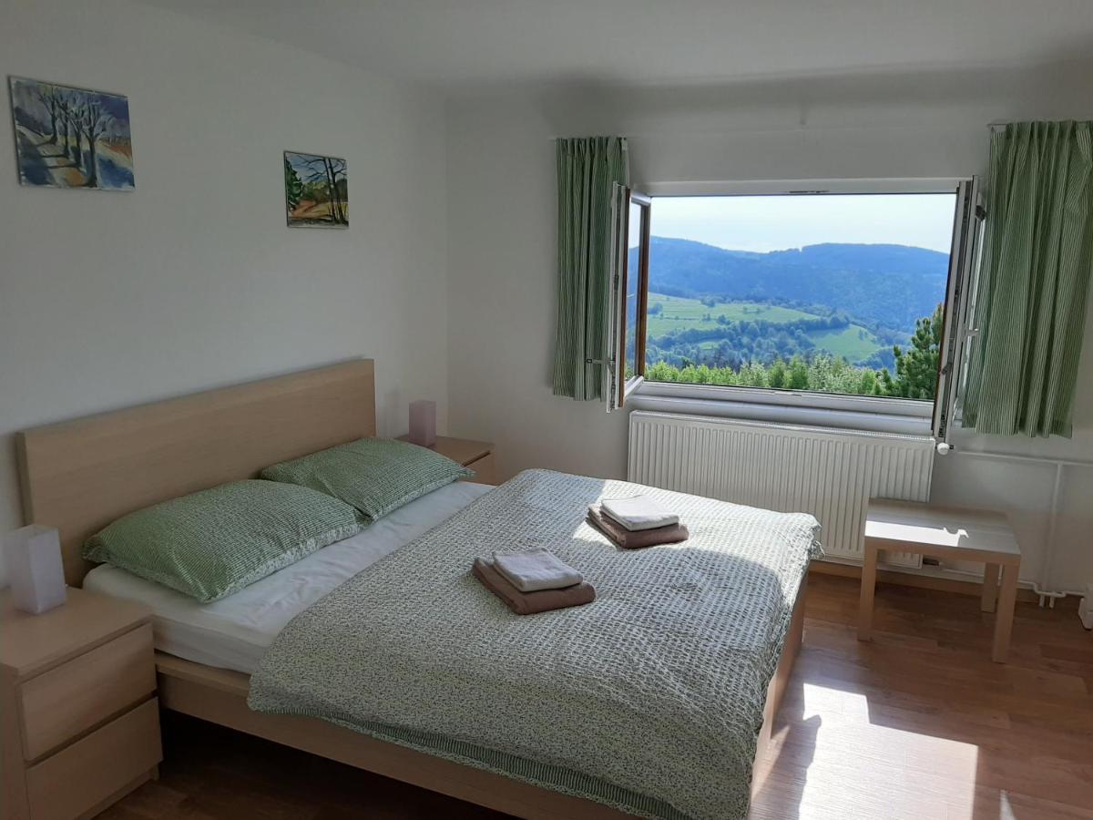Naproti Klinovci Villa Jáchymov Dış mekan fotoğraf